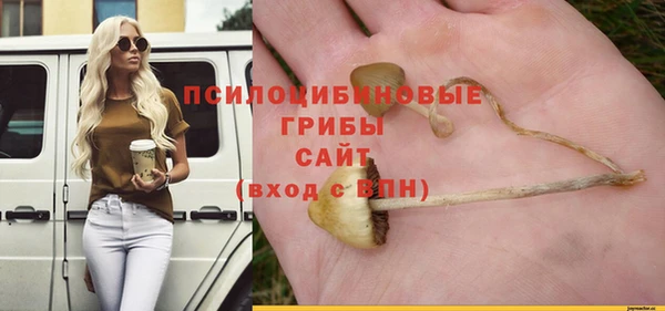ПСИЛОЦИБИНОВЫЕ ГРИБЫ Алексеевка