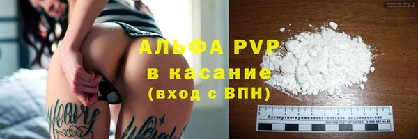 гашик Алзамай